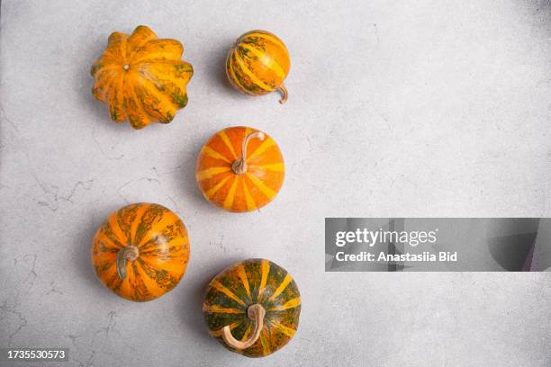 top view of jack be little pumpkins on grey marble background.good as autumn background with negative space. - jack be little squash stock-fotos und bilder