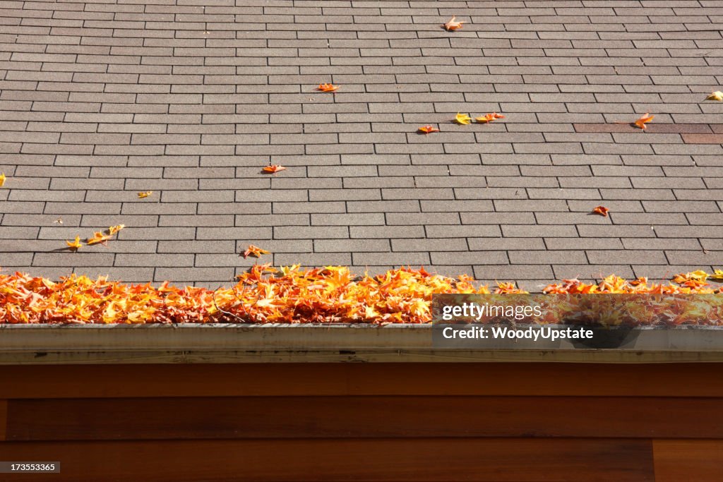 Leaves on a Roof