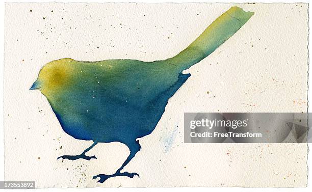 watercolor bird - sparrow stock illustrations