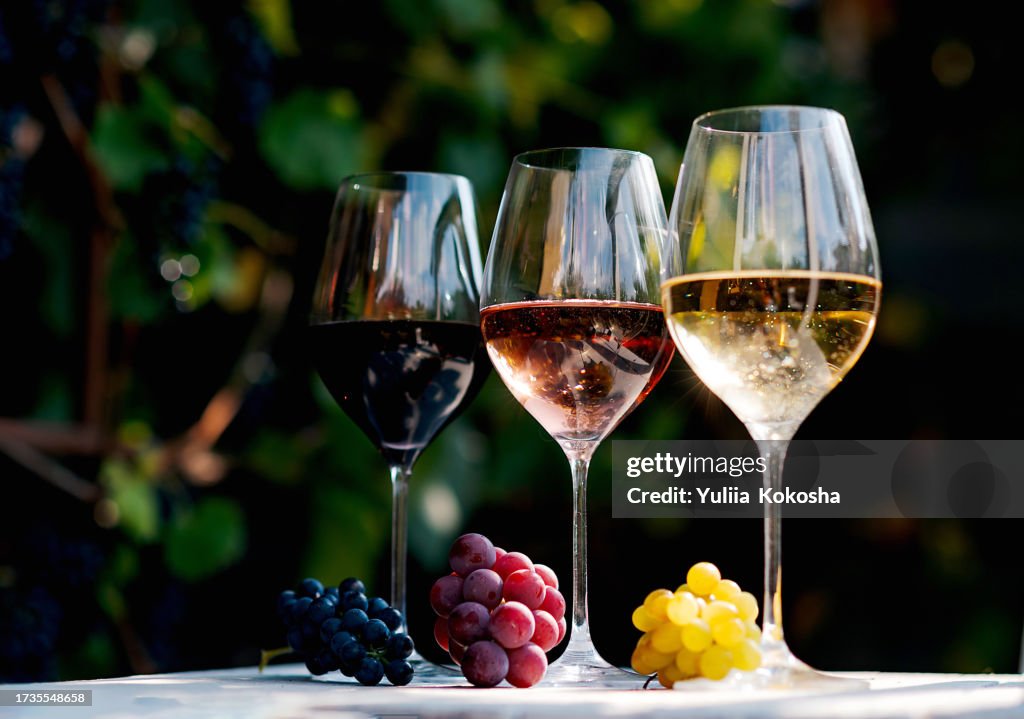 Wine degustation