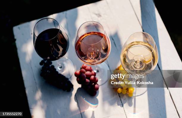 wine degustation - bordeauxrood stockfoto's en -beelden