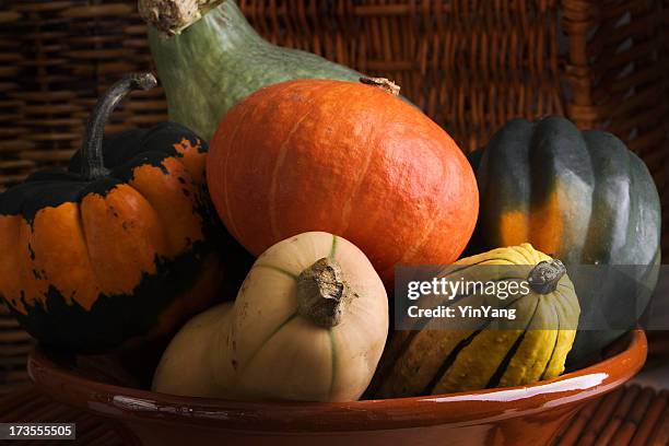 winter squash vegetable varieties group—acorn, butternut, carnival, delicata, hubbard - hubbard squash stock pictures, royalty-free photos & images