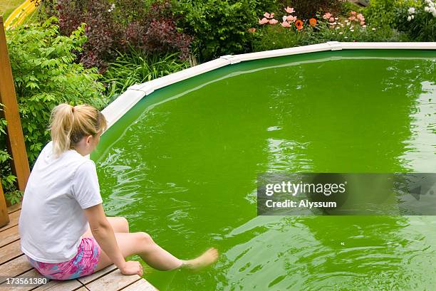 what happened to the pool? - grotesque stock pictures, royalty-free photos & images