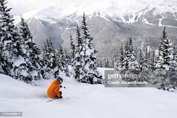 woman skiing fresh powder on a ski vacation - esqui e snowboard imagens e fotografias de stock