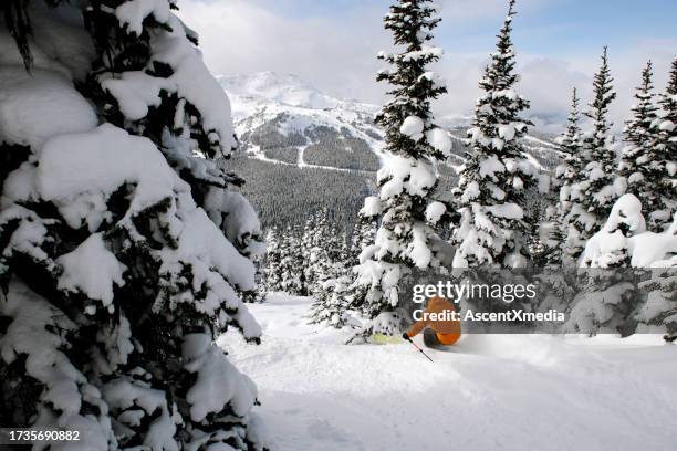 woman skiing fresh powder on a ski vacation - skiing and snowboarding stockfoto's en -beelden