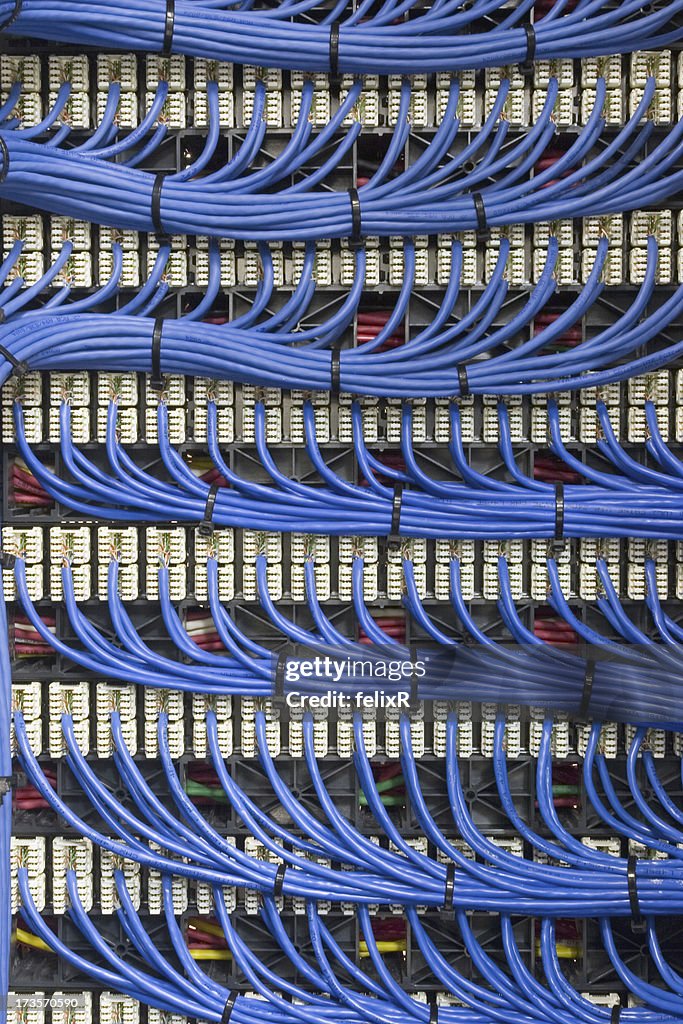 Set of long blue network cables