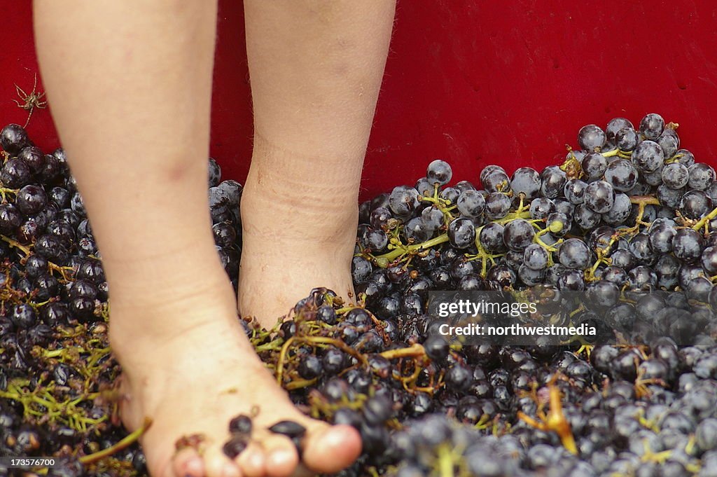 Grape Stomp