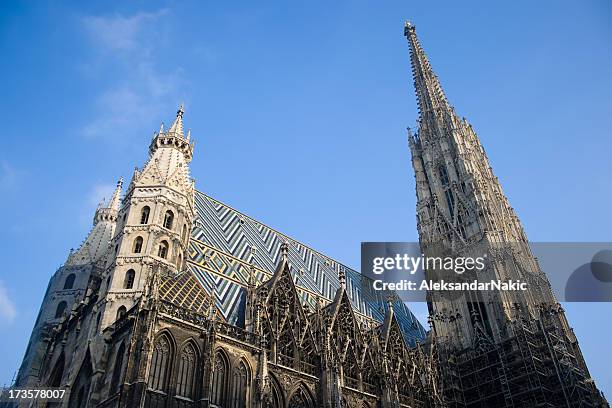 st. stephen's cathedral cathedral in vienna - st stephens cathedral vienna stock pictures, royalty-free photos & images