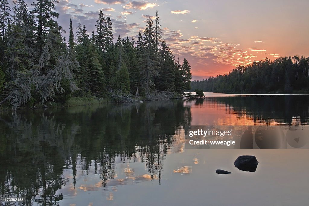 Coniferous Sunrise