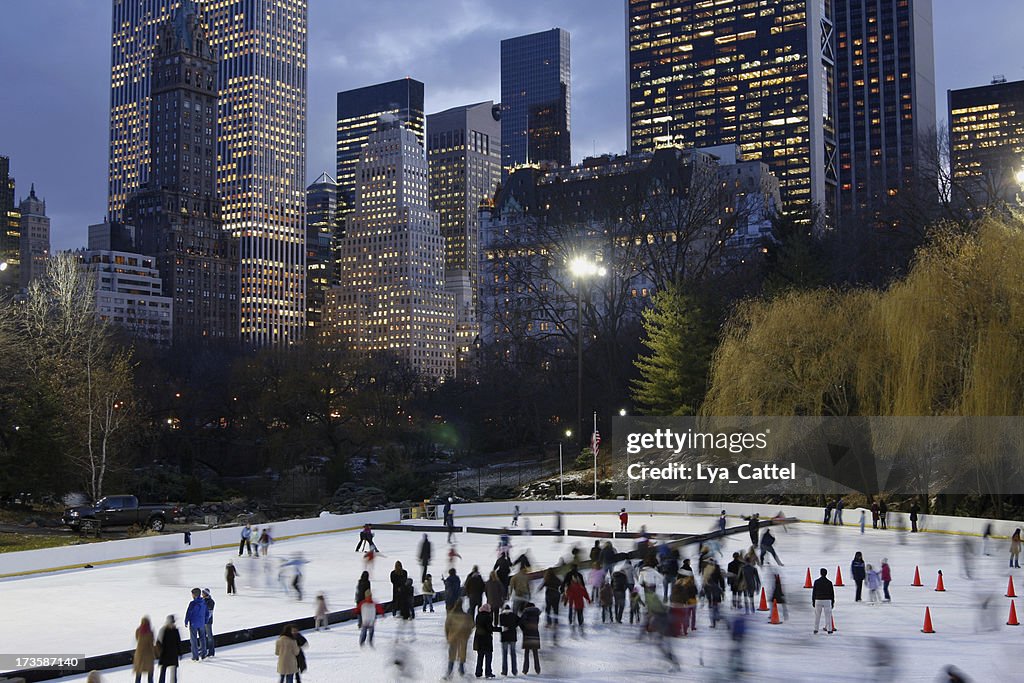 Skating Central Park # 2 XL