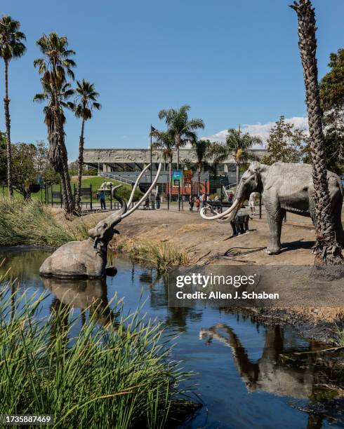 Los Angeles, CA People tour the La Brea Tar Pit Museum in Los Angeles Wednesday, Aug. 16, 2023.