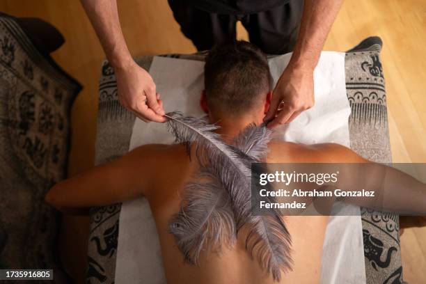 Message Feather 1,141 Feather Skin Stock Photos, High-Res Pictures, and Images - Getty ...