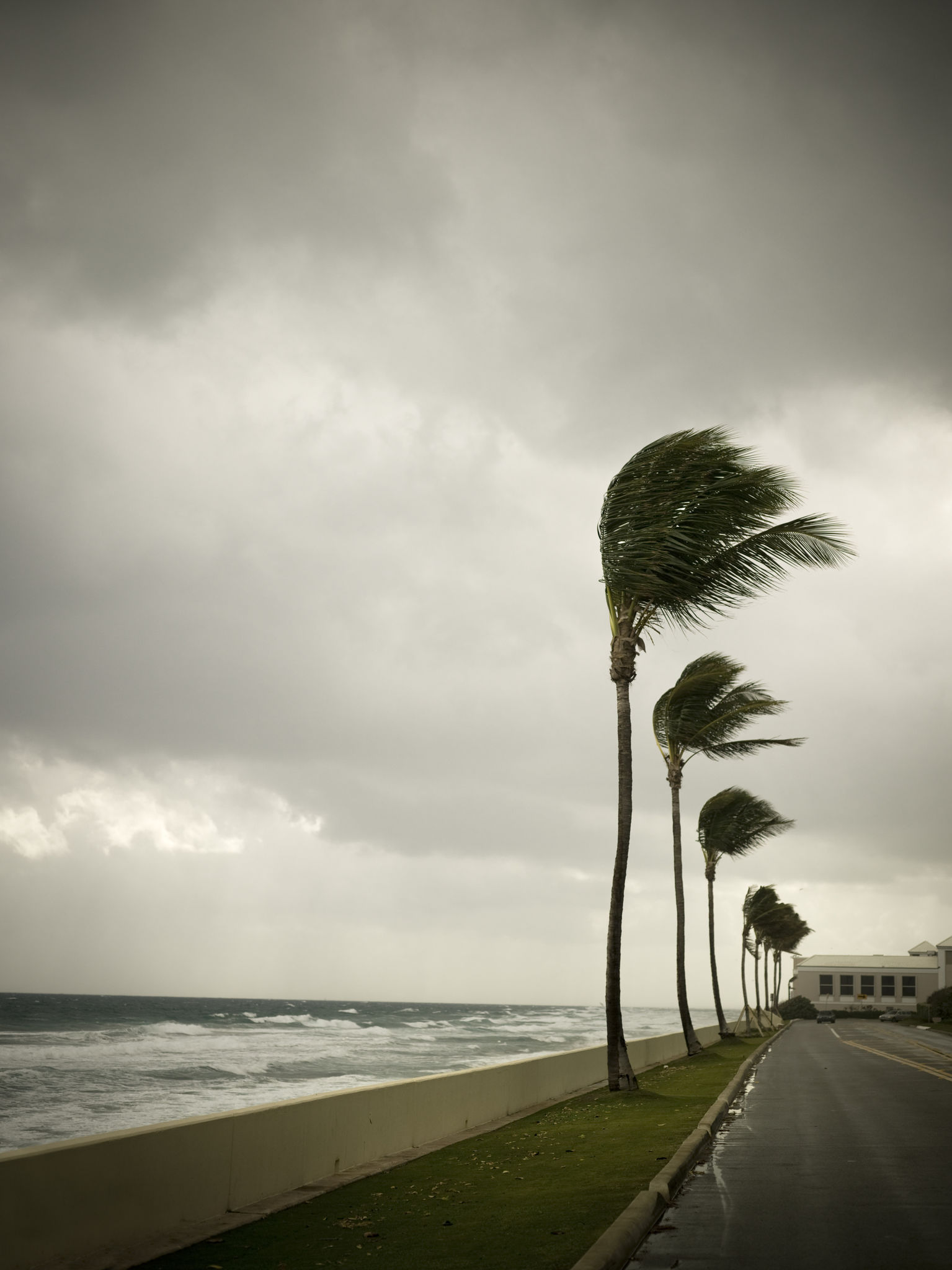 miami storm