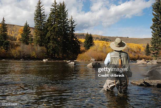 frau fliegenfischen - fly fishing stock-fotos und bilder