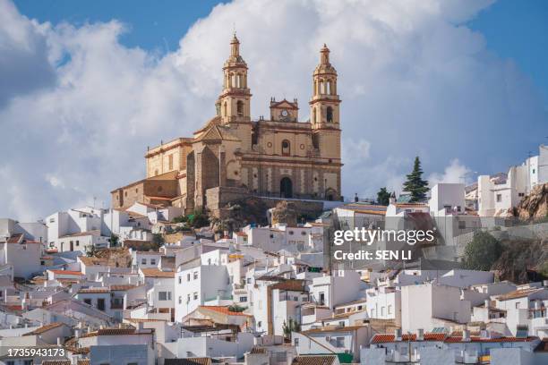 landscapes of the old white town, castle and church on the hill of olvera in cadiz, spain - cadiz spain stock pictures, royalty-free photos & images