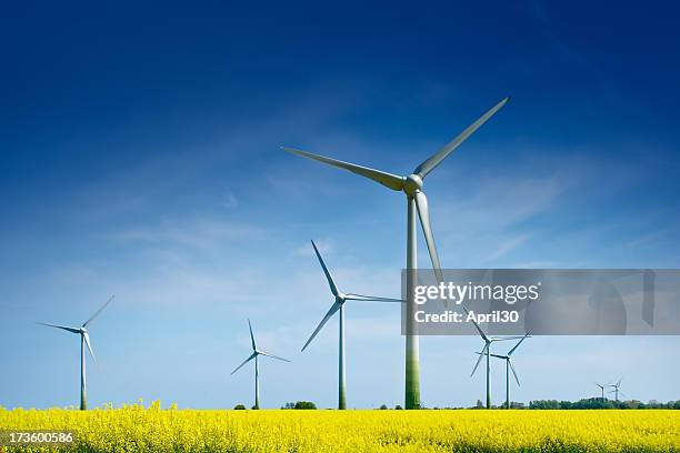 wind turbines in a rape field - wind turbines bildbanksfoton och bilder