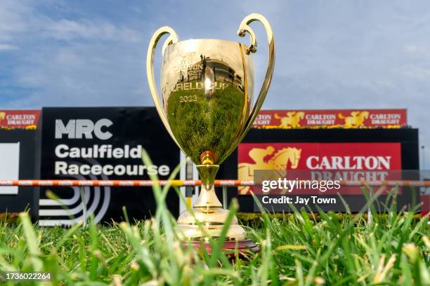 Caulfield Cup Day at Caulfield Racecourse on October 21, 2023 in Caulfield, Australia.