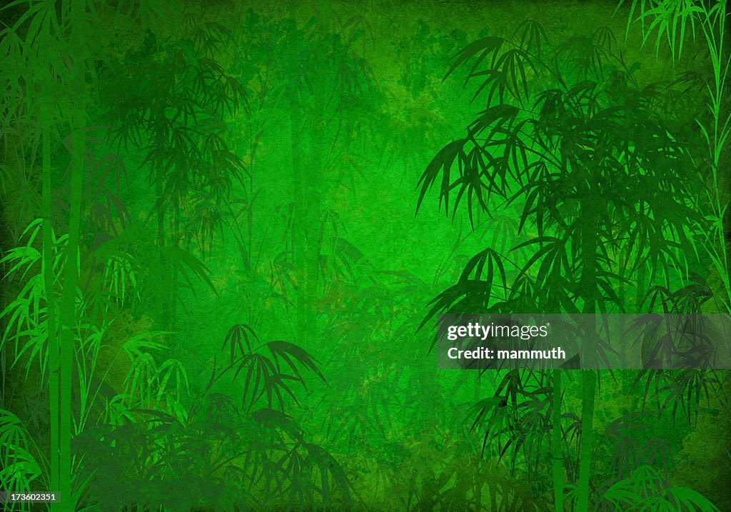 Floresta de bambu grunge