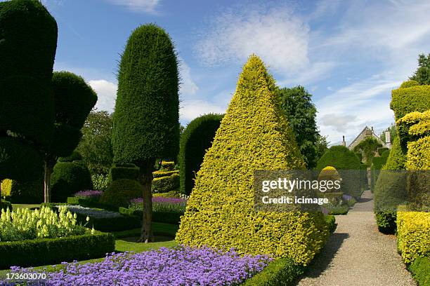 topiary garden - topiary 個照片及圖片檔