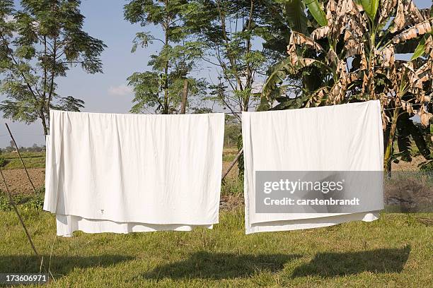 draps sur une ligne de vêtements - drap photos et images de collection