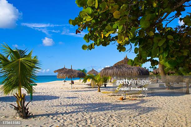 beautiful view of the eagle beach in aruba - oranjestad stock pictures, royalty-free photos & images