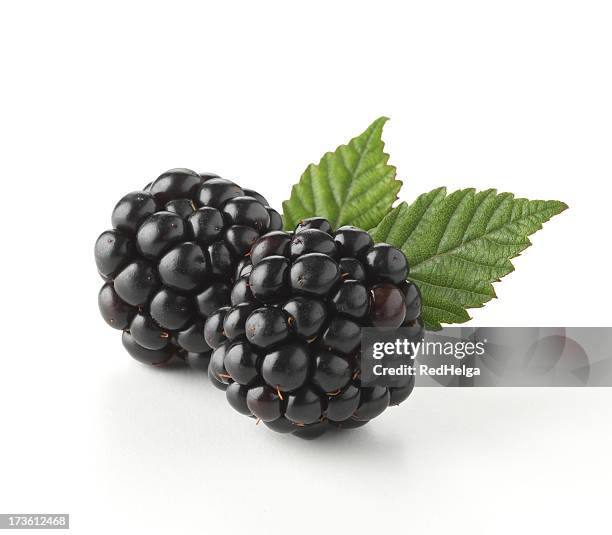 close-up of two fresh blackberry with leaves - blackberry fruit stock pictures, royalty-free photos & images