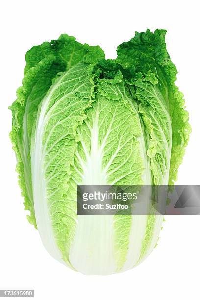 cabbage - chinese cabbage stock pictures, royalty-free photos & images