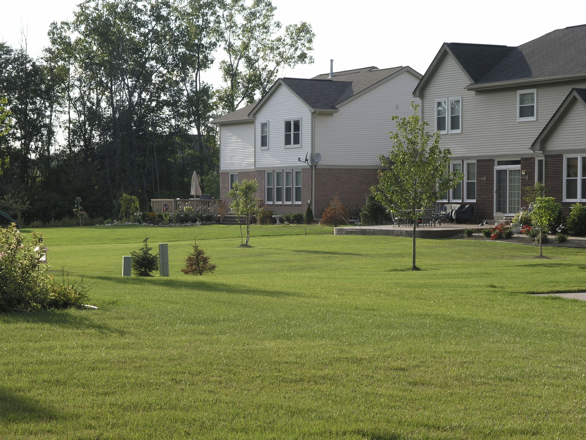 detroit lawn care