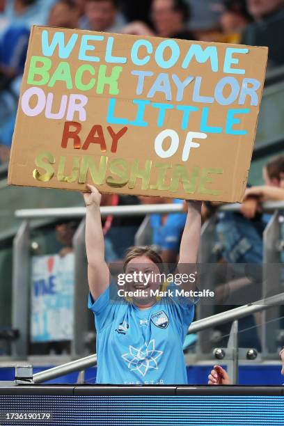 Fans show their support during the round one A-League Women match between Sydney FC and Western Sydney Wanderers at Allianz Stadium on October 14,...