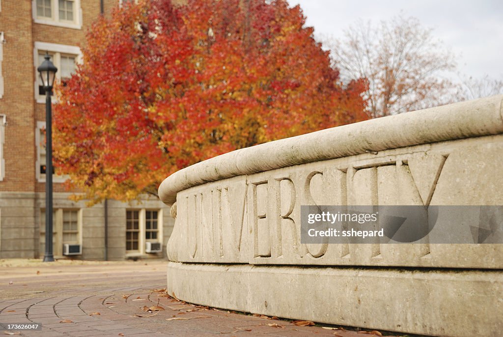 University in Autumn