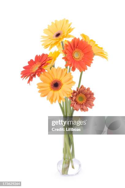 daisy bouquet - vase stock pictures, royalty-free photos & images