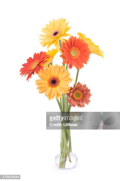 daisy bouquet - 花瓶 個照片及圖片檔