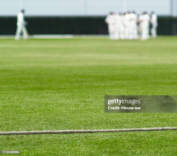 cricket-boundary seil und schlagmann zu fuß - cricket ground stock-fotos und bilder