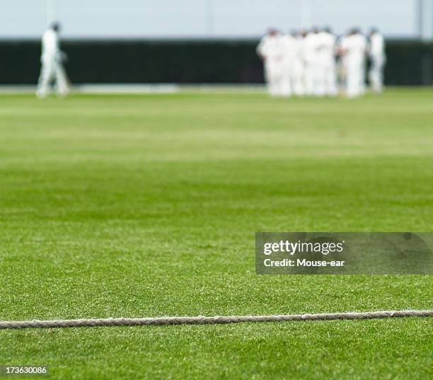 cricket boundary rope and walking batsman - kricketplan bildbanksfoton och bilder