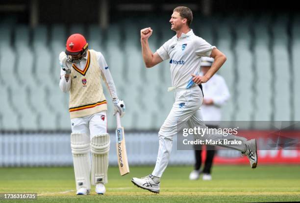 Jackson Bird of there Blues celebrates the wicket of Daniel Drew of the Redbacks during the Sheffield Shield match between South Australia and New...