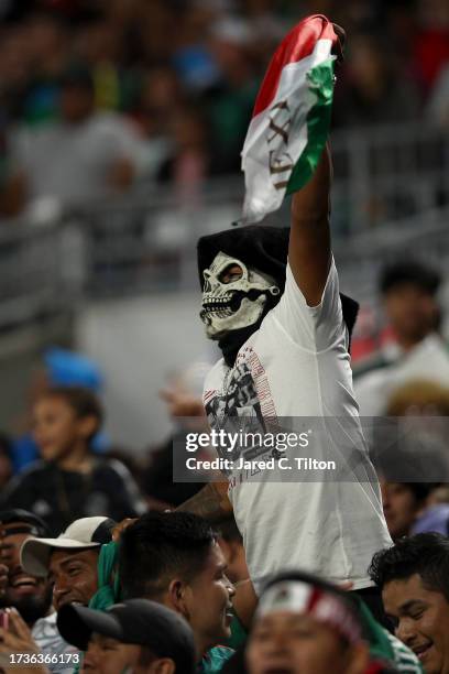 Fan reacts during the second half of the match between Ghana and México at Bank of America Stadium on October 14, 2023 in Charlotte, North Carolina.