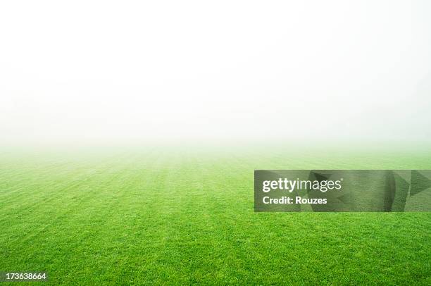 field - terrain de foot photos et images de collection
