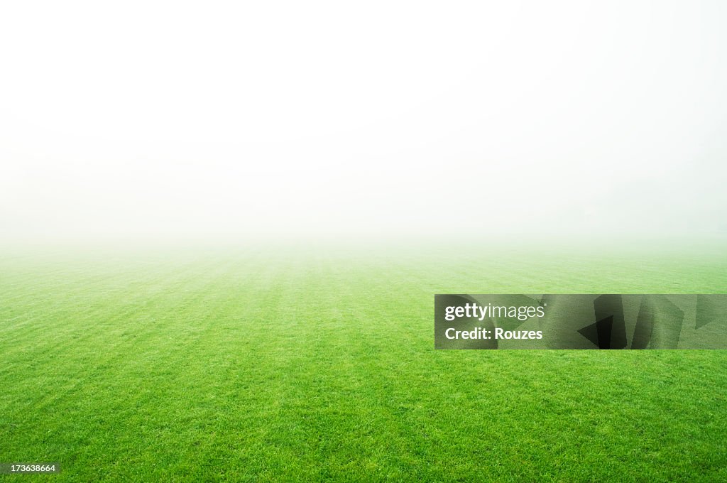 A landscape picture of a green field covered in fog