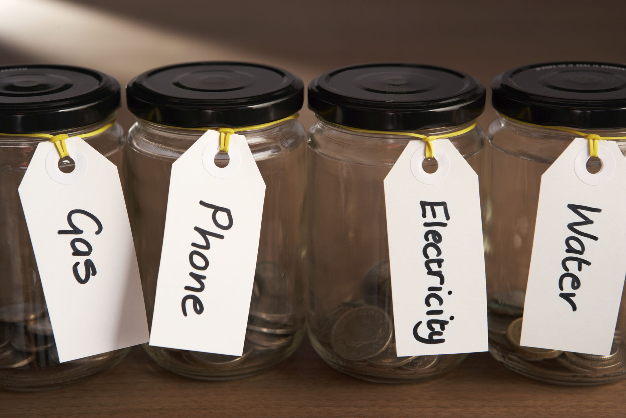 budget home organizing