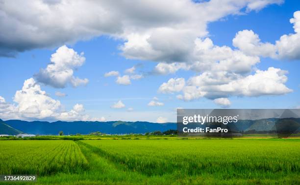 aso's fields and mount aso, japan's agriculture - horizont über land stock-fotos und bilder