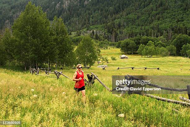 woman running on trail in mountains - steamboat springs stock pictures, royalty-free photos & images