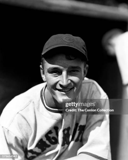 52 Mooty Stock Photos, HighRes Pictures, and Images Getty Images