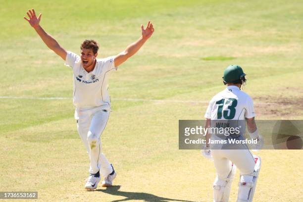 Aaron Hardie of Western Australia appeals for a wicket during the Sheffield Shield match between Western Australia and Tasmania at WACA, on October...