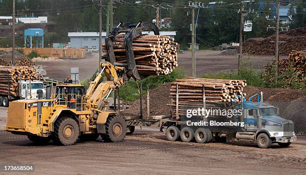 Caterpillar Inc. 988 Wheel Loader loads a truck with freshly cut for trees transport to the West Fraser Timber Co. Sawmill in Quesnel, British...