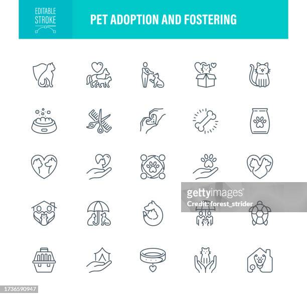 ilustraciones, imágenes clip art, dibujos animados e iconos de stock de iconos de adopción y acogida de mascotas trazo editable - cat with collar