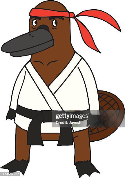 ilustraciones, imágenes clip art, dibujos animados e iconos de stock de platypus sensei - muay thai