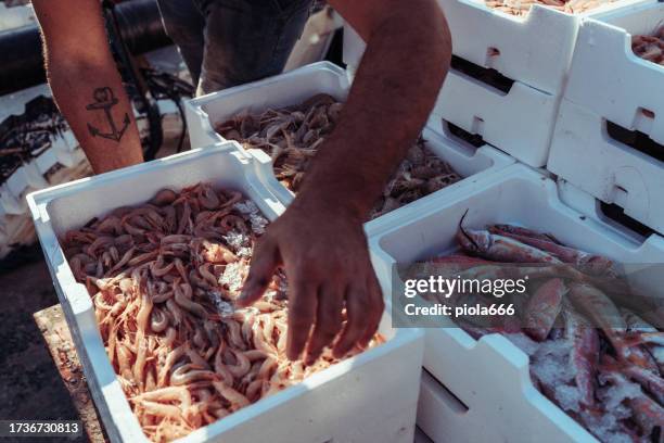 Unloading Fish 2,331 Unloading Fish Stock Photos, High-Res Pictures, and Images ...