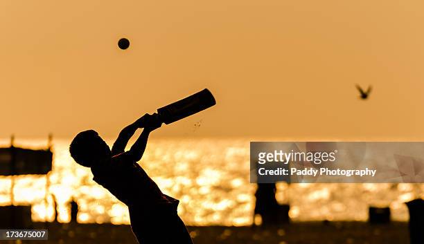 hook shot - beach cricket stock pictures, royalty-free photos & images