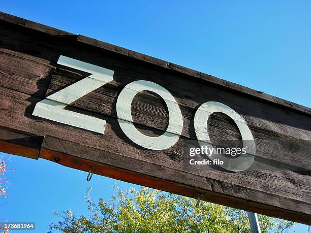 jardim zoológico - zoo - fotografias e filmes do acervo