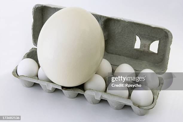 egg-ceeding egg-spectations - too big stock pictures, royalty-free photos & images